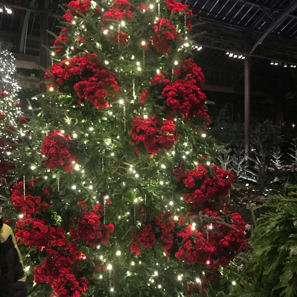 Meet your Posher, Jeannette